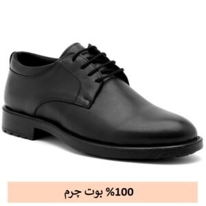 کفش کلاسیک بنددار مردانه چرم طبیعی